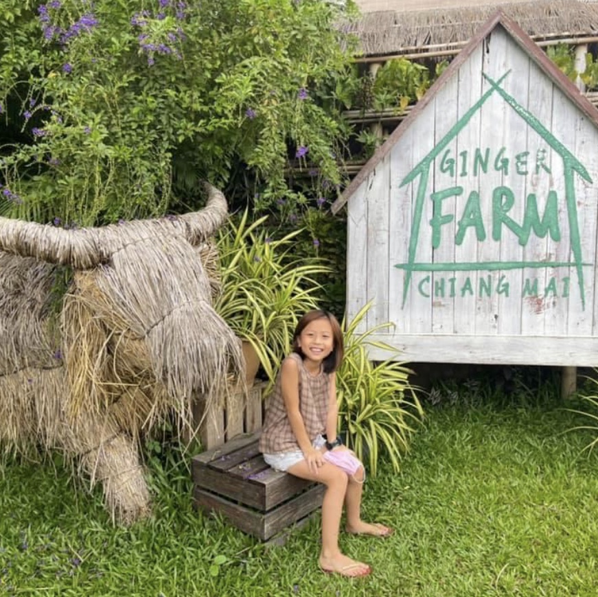 Take the kids to learn about nature at Ginger Farm, Chiang Mai.