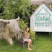 พาเด็กๆเรียนรู้ธรรมชาติ ที่ Ginger Farm เชียงใหม่