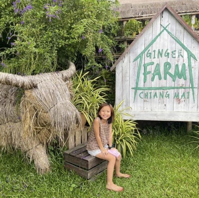 พาเด็กๆเรียนรู้ธรรมชาติ ที่ Ginger Farm เชียงใหม่