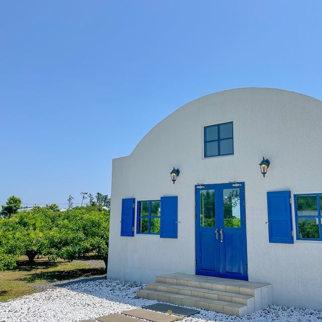 제주도 귤밭을 품은 그리스감성카페 덴드리💙