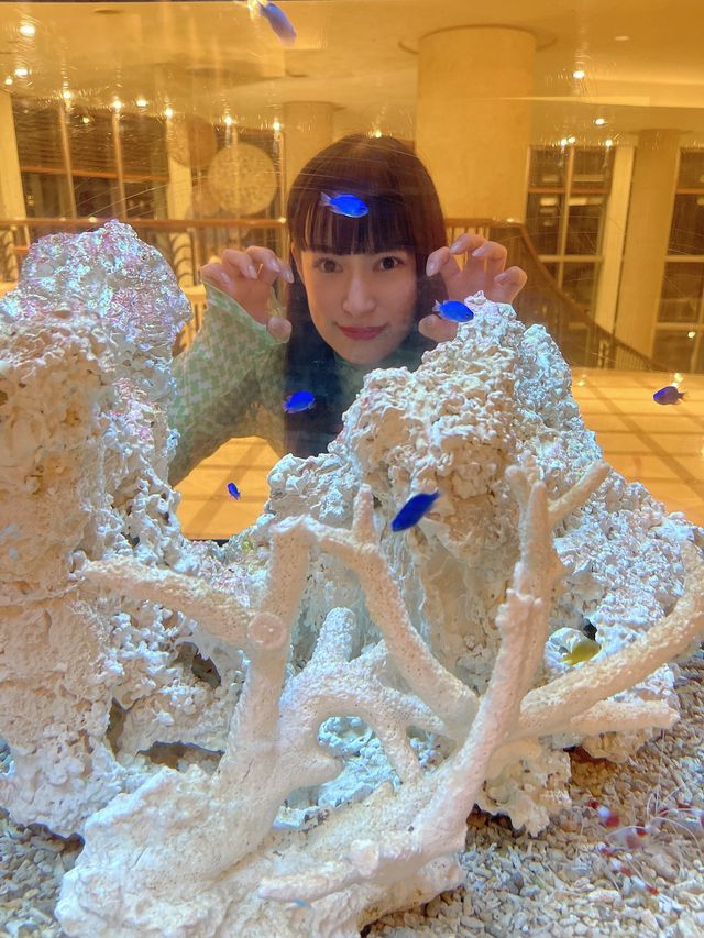 ANAインターコンチネンタル石垣リゾート　各種施設。