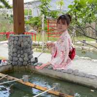 張家の樹園⛩️花蓮景點🦙動物互動👘和服體驗