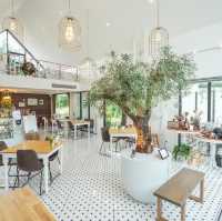 📍 DishCovery greenery