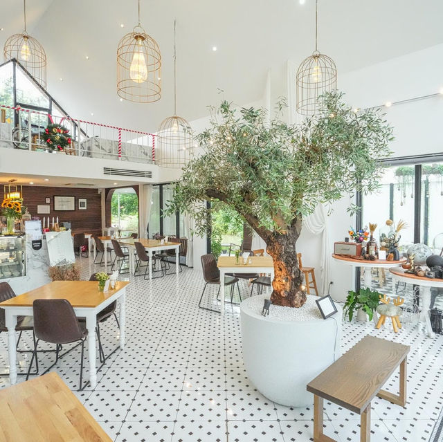 📍 DishCovery greenery