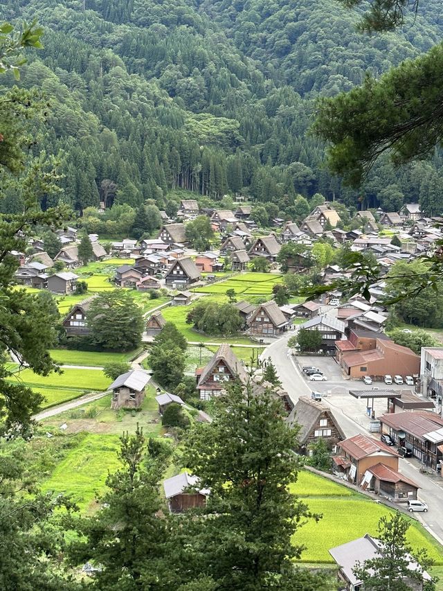 白川鄉 ｜荻町城跡展望台眺望合掌村📸
