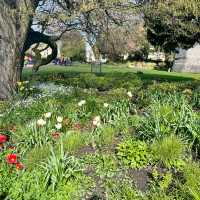 York Museum Gardens