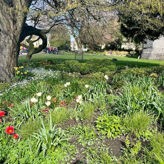 York Museum Gardens