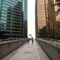 Hidden Observation Deck