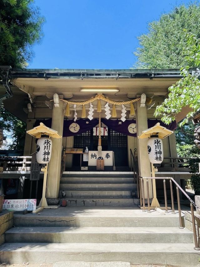 【東京都/上目黒氷川神社】首都高の目線にある神社