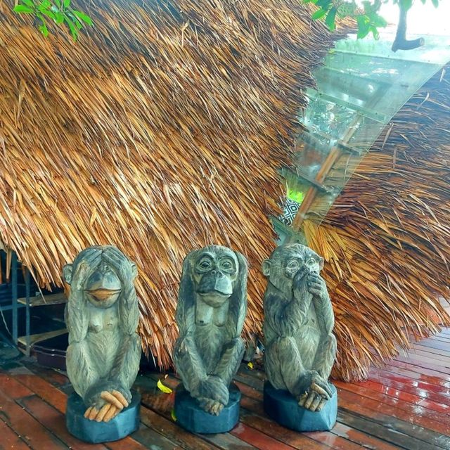 คาเฟ่ฟีลป่าในภูเก็ต