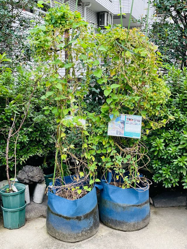 【東京都/高輪神社】元は稲荷神社 石門、石壁も必見！