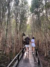 วนอุทยาน​ปราณบุรี​ แนบชิดธรรมชาติ​