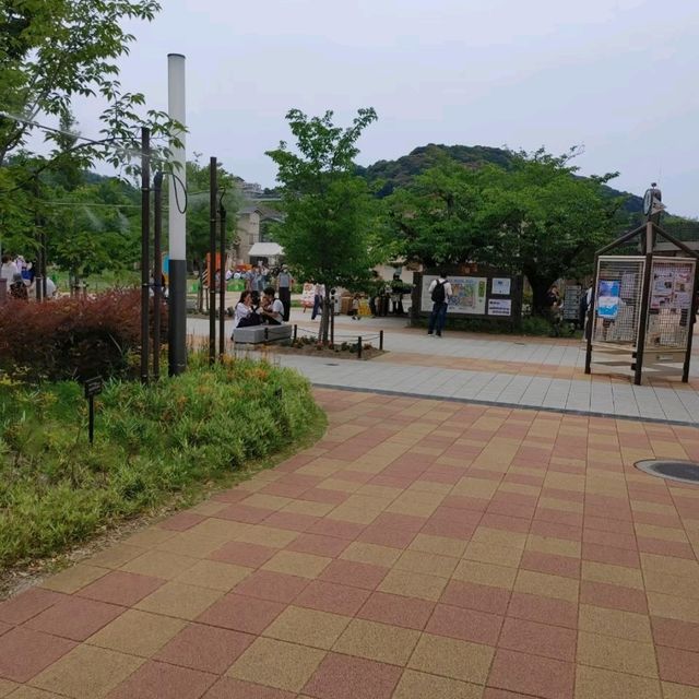 キリンを上からも下からも観察できる　京都市動物園