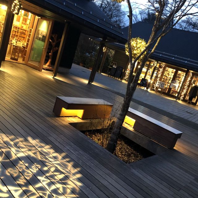 【軽井沢】トンボの湯