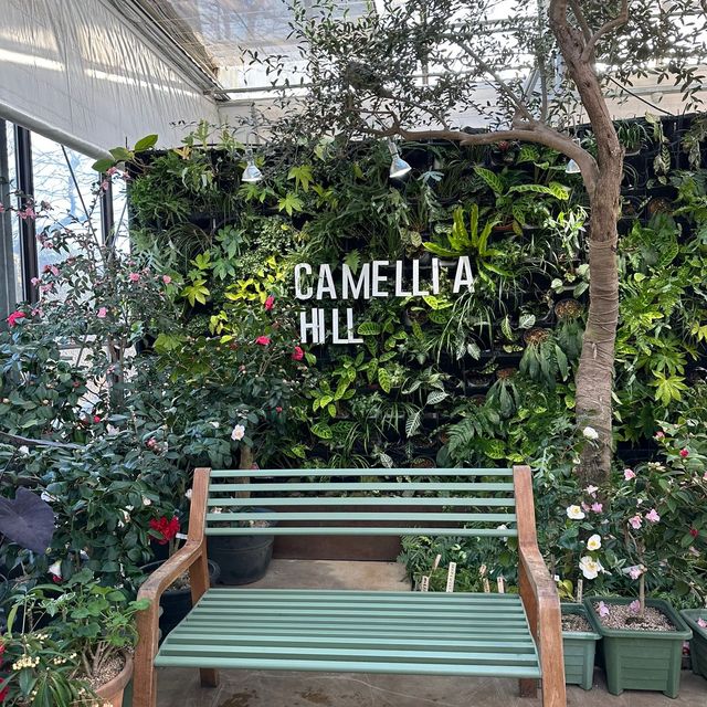 Camellia Hill Botanical Garden 