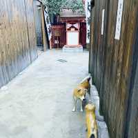 【大阪】大阪くらしの今昔館✨江戸時代を体験‼️