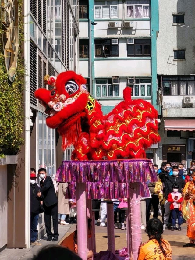 新年必備的精彩醒獅表演