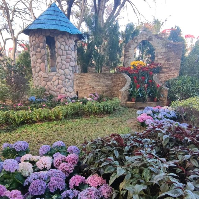 晨運緩跑~心曠神怡~花悅滿城~元朗公園