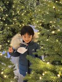 구경하고 사진찍고 맛있고 예쁜곳 많이 있는 백화점 즐기기 -동탄 롯데백화점