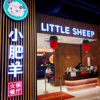 Discover a World of Flavors at Little Sheep