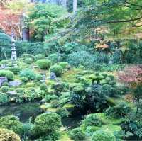 京都の美しいお庭が堪能できる【三千院】