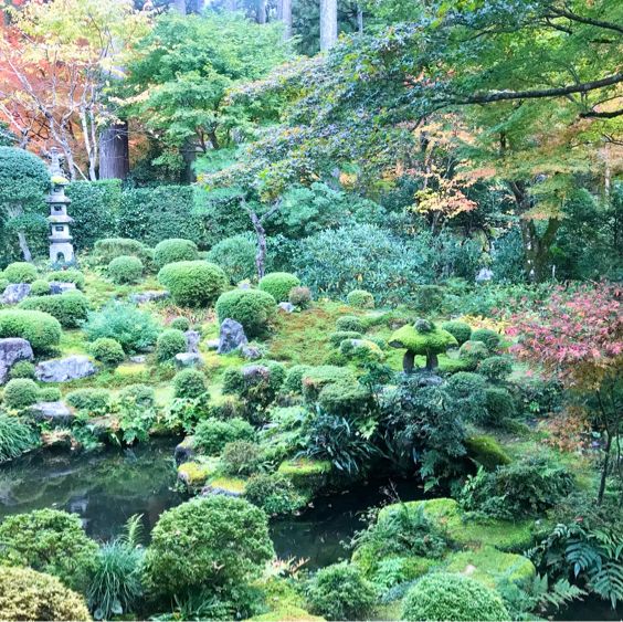 京都の美しいお庭が堪能できる【三千院】