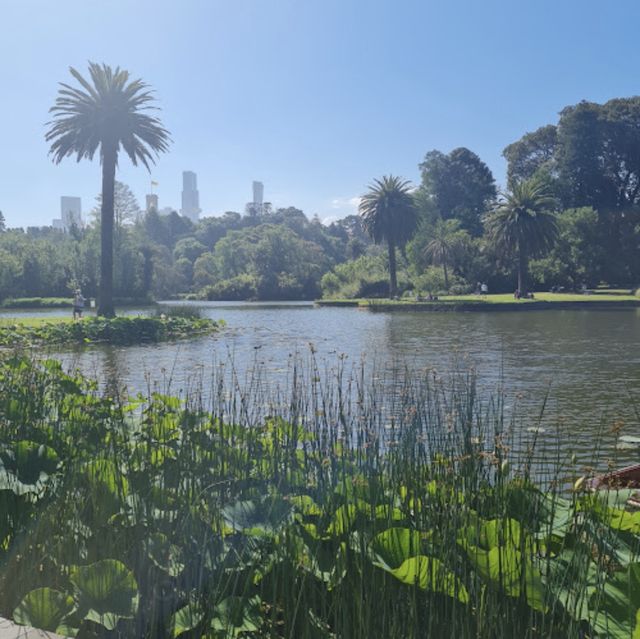 The Royal Botanic Gardens