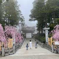 【和歌山】弘法大師がひらいた金剛峯寺