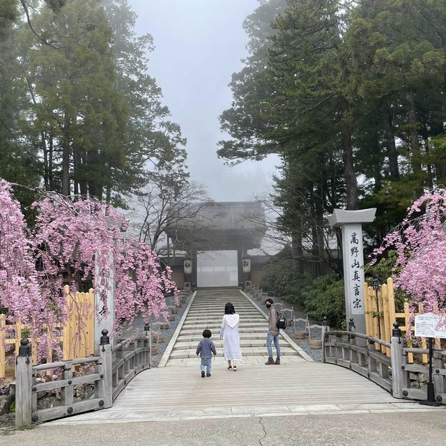 【和歌山】弘法大師がひらいた金剛峯寺