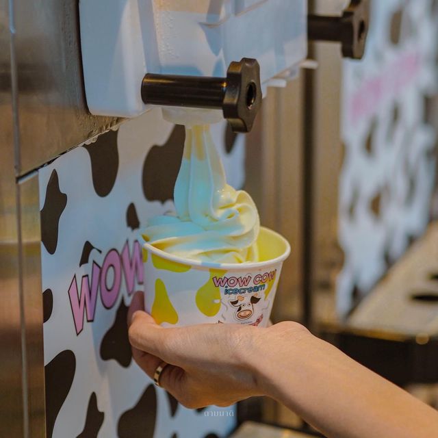 Wow Cow #คาเฟ่ไอศกรีมเปิดใหม่ ภูเก็ต
