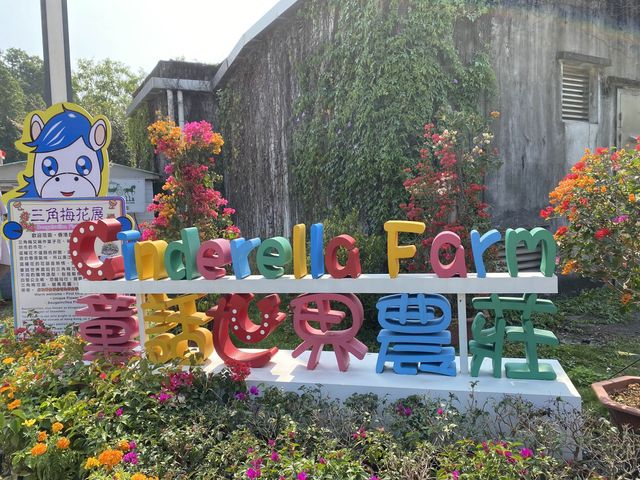 親親大自然🐎🦙🐇🐑