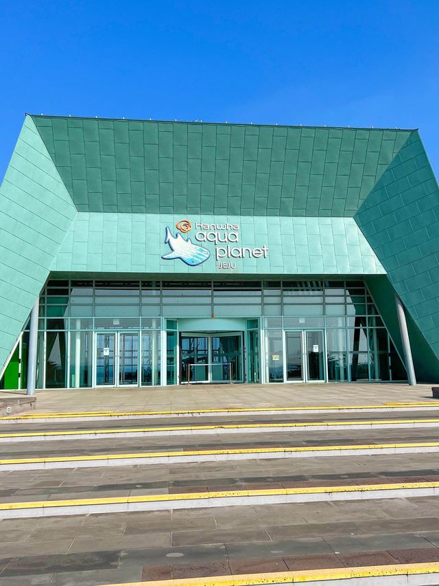 알록달록한 물고기들이 있는 제주아쿠아리움🐠