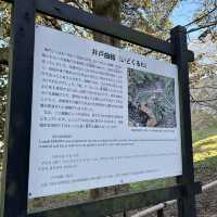 在古堡上鳥瞰古鎮