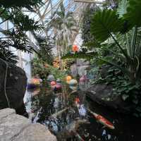 Nature in the park to fascinate yourself