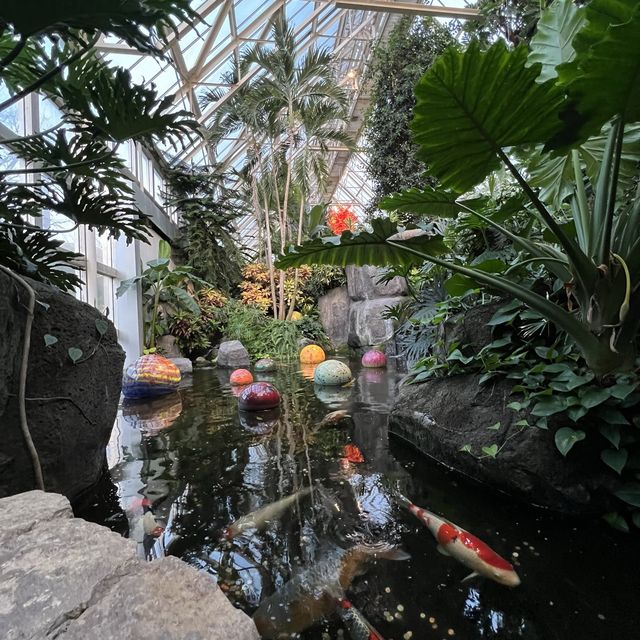 Nature in the park to fascinate yourself