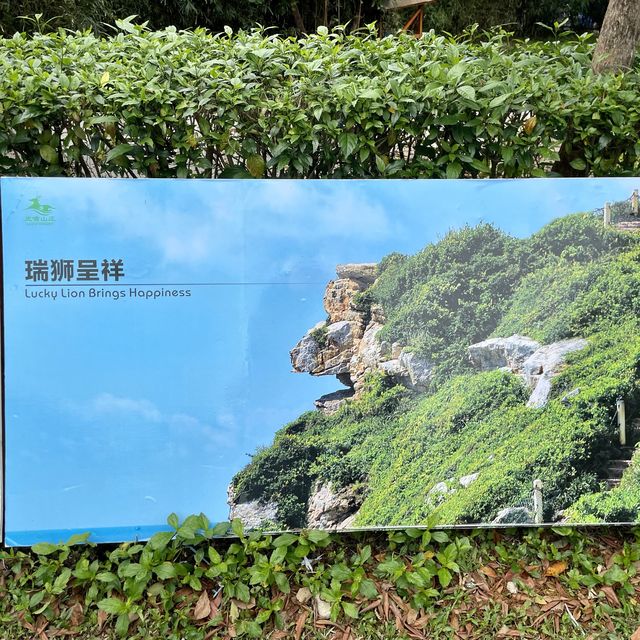 🧜🏻‍♀️尋找美人魚洞🧜🏻@深圳楊梅坑鹿嘴山莊