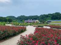 เที่ยวญี่ปุ่น Gifu World Rose Garden 