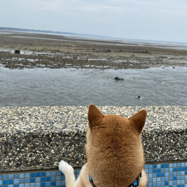 永安漁港🐟