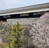 Kumamoto Castle