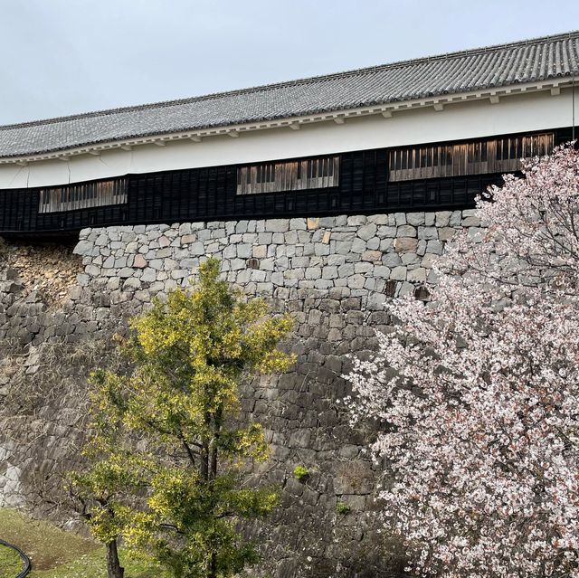 Kumamoto Castle