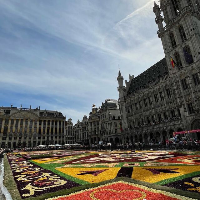 BRUSSELS, BELGIUM🇧🇪 (Flower Carpet)