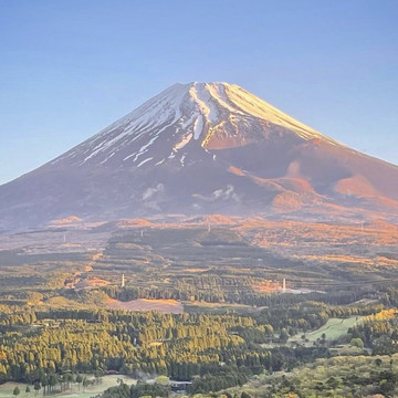 自然が作った日本のランドマーク富士山の美しさ🏔️ | Trip.com 富士吉田