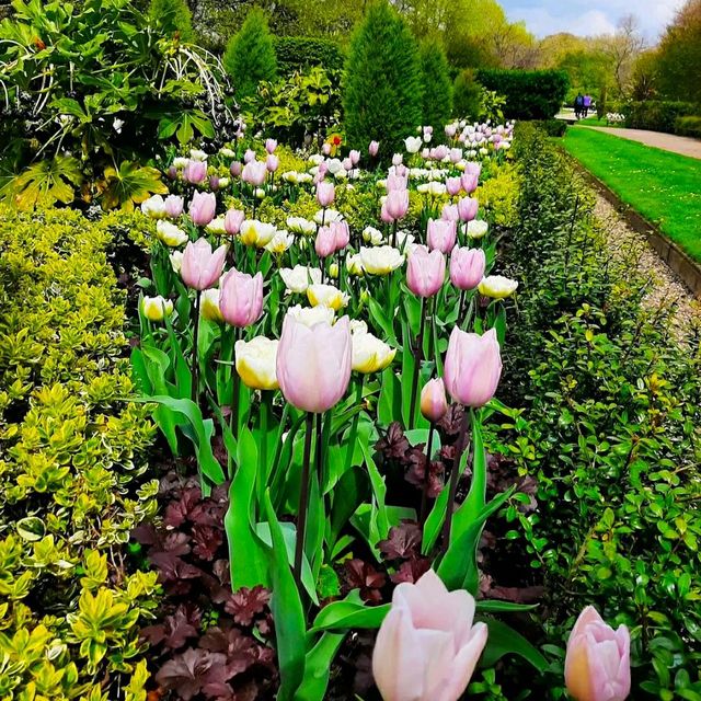 THE SCENIC REGENT"S PARK & PRIMROSE HILL!