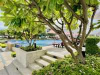 D Varee Jomtien วิวสวยใกล้ชายหาดจอมเทียนแค่ข้ามถนน