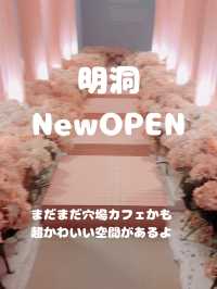 明洞に超映えカフェがNewOPEN アーバンプラント明洞