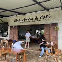 Elefin Farm & Cafe หางดง เชียงใหม่