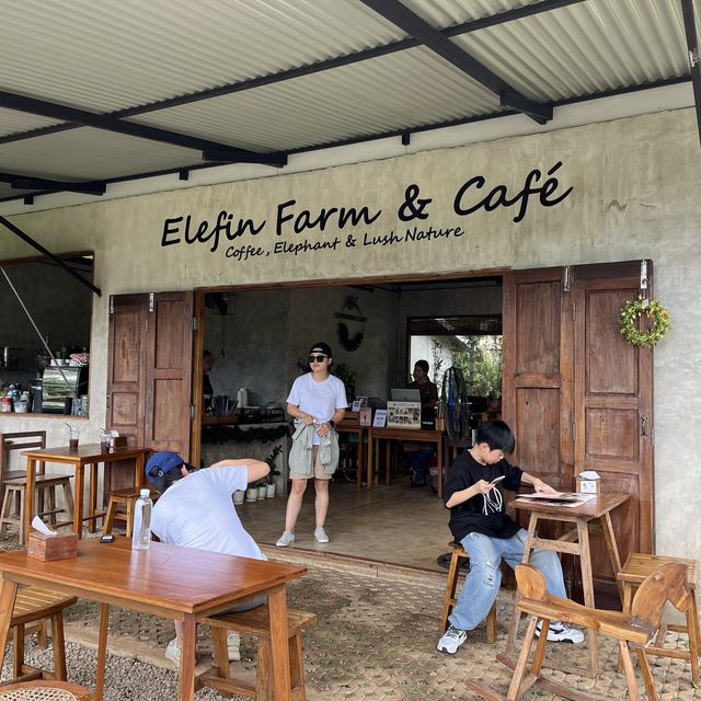 Elefin Farm & Cafe หางดง เชียงใหม่