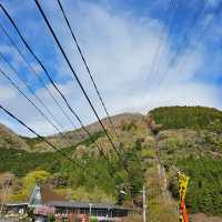 造就別府溫泉鄉的日本名山鶴見岳⛰️