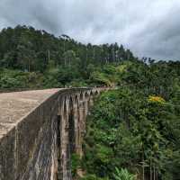 a bridge in the forest