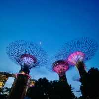 Mesmerizing Experience at Gardens By The Bay